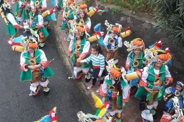 La  carroza anunciadora del Carnaval recorrió este miércoles el centro de la ciudad (Foto TA)